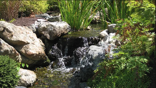 Pond Rocks and Gravel